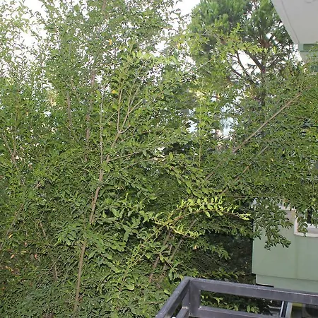 Flora Hotel Koycegiz (Mugla)