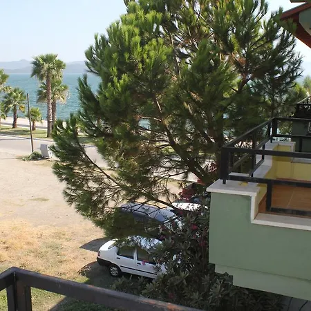 Flora Koycegiz (Mugla)