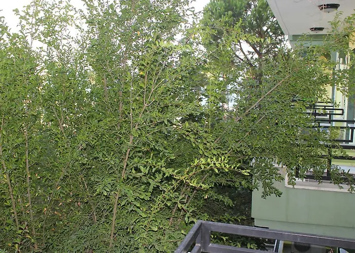 Flora Hotel Koycegiz (Mugla)