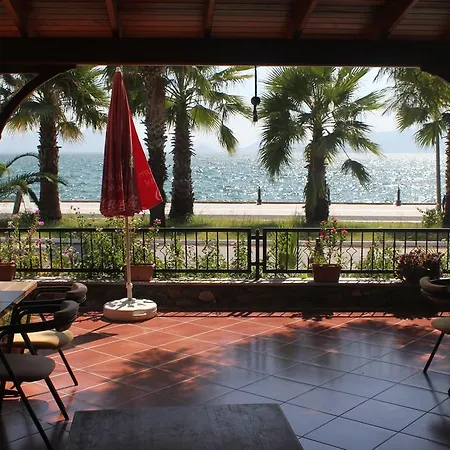 Flora Koycegiz (Mugla)